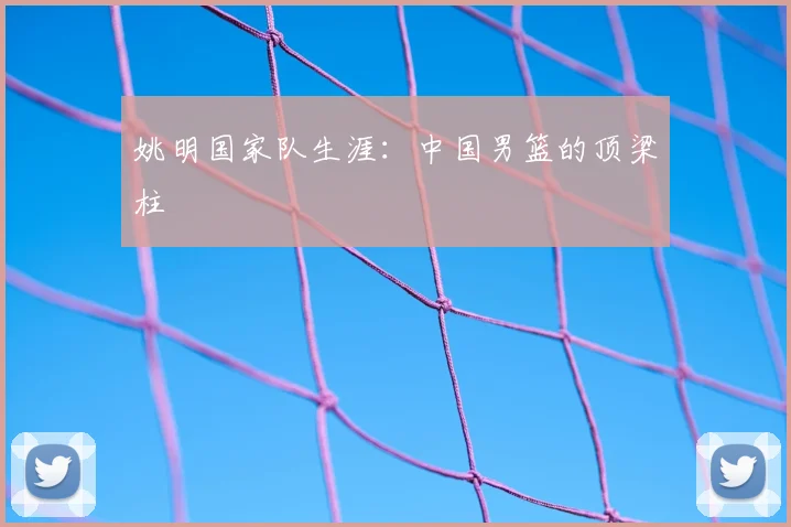 姚明国家队生涯：中国男篮的顶梁柱