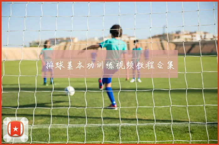 排球基本功训练视频教程合集