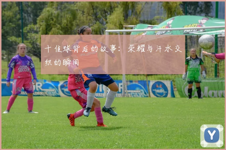 十佳球背后的故事：荣耀与汗水交织的瞬间