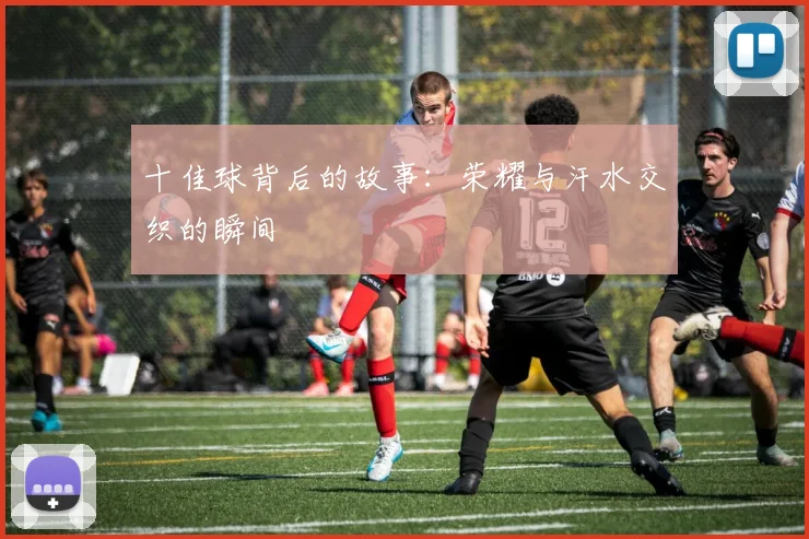 十佳球背后的故事：荣耀与汗水交织的瞬间