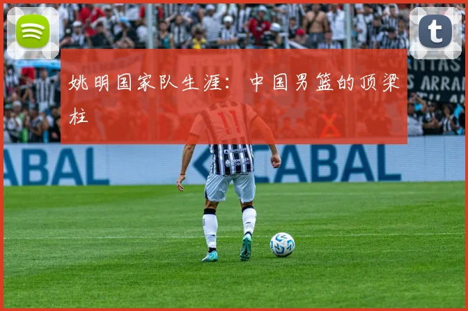 姚明国家队生涯：中国男篮的顶梁柱